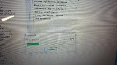 4.webp